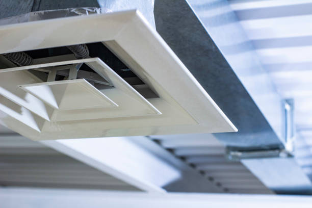 Best Affordable Air Duct Cleaning  in Griggsvle, IL