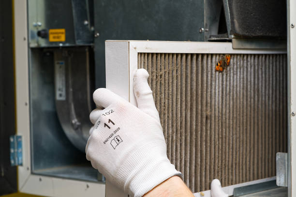 Best Air Duct Inspection  in Griggsvle, IL